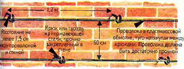 Драпировка розами стен
